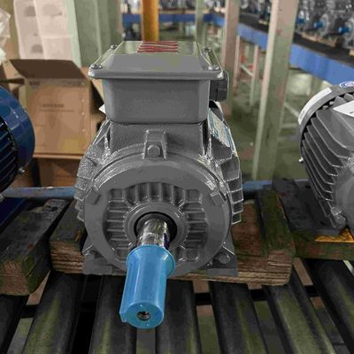 Cast Aluminum Frequency Conversion High Efficiency Electric Motor