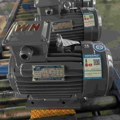 3KW Small Size Single Phase Electric Motors For Air Compressor