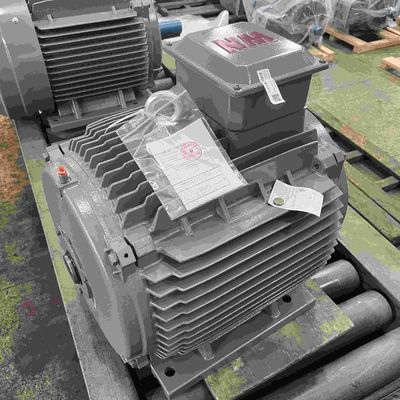 Stainless Steel IE3 3 Phase Motor 380V IP55 / 56 / 65