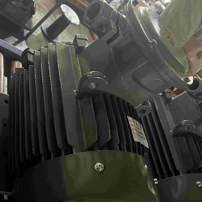 60hz Accurate Braking Low Voltage Electric Motors for remedy apparatus