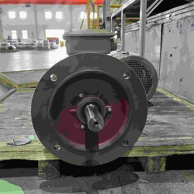 Adjustable Speed Variable Speed High Efficiency Electric Motor